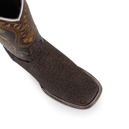 BULL DOG CUELLO DE TORO CHOCOLATE