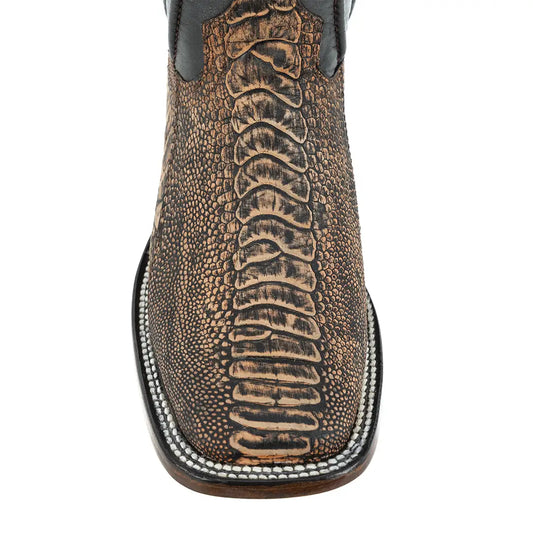 BULL DOG PATA AVESTRUZ PETROLEO