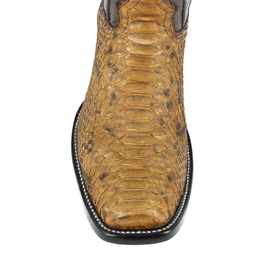 DUBAI PYTHON LEON