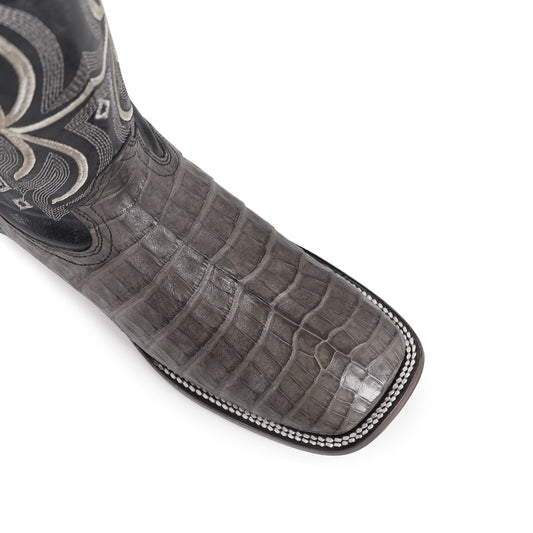 BULL DOG COCO PANZA GRIS