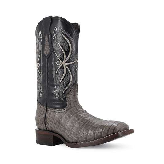 BULL DOG COCO PANZA GRIS