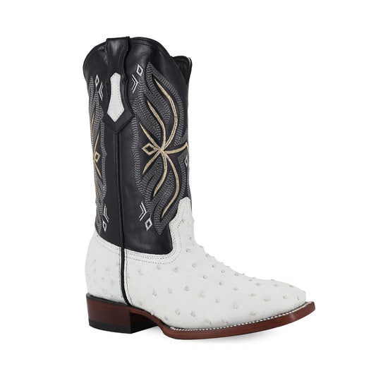 BULL DOG AVESTRUZ BLANCO