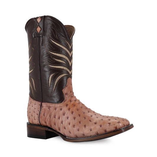 BULL DOG AVESTRUZ COÑAC TALCO