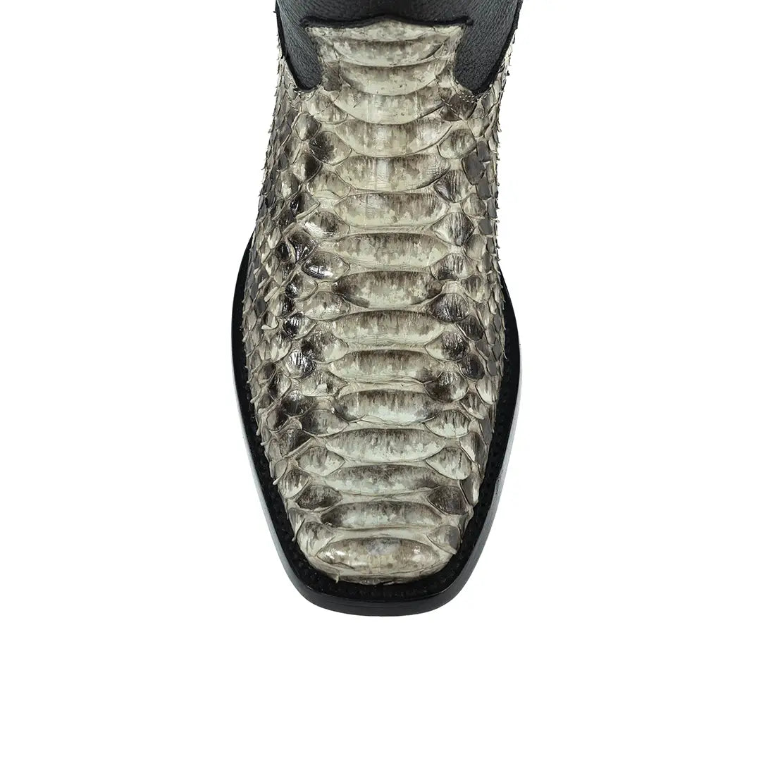 DYLAN PYTHON NATURAL