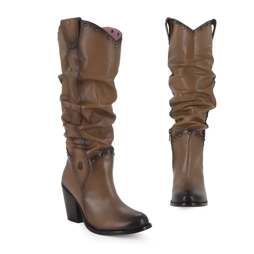 ENVIDIA